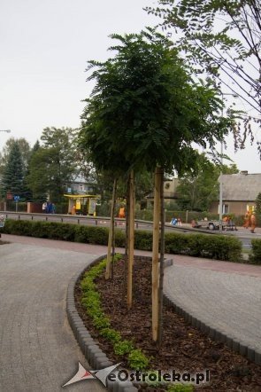 Kolejny etap przebudowy parku miejskiego zakończony [19.09.2012] - zdjęcie #28 - eOstroleka.pl