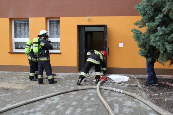 Zakażenie wąglikiem i pożar w Przedszkolu Miejskim nr 17 [20 IX 2012] - zdjęcie #44 - eOstroleka.pl