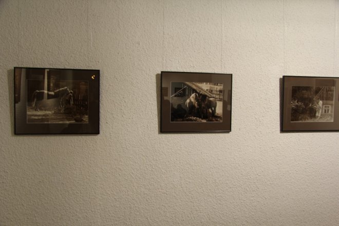  Moje Podlasie fotografie Wiktora Wolkowa [4 X 2012] - zdjęcie #11 - eOstroleka.pl