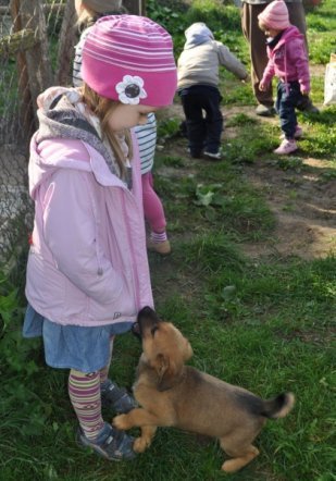 Zakończenie akcji „Bliżej Pieska”: Przedszkolaki z ostrołęki odwiedziły schronisko w Kruszewie [9 X 2012] - zdjęcie #16 - eOstroleka.pl