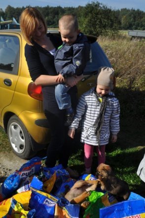 Zakończenie akcji „Bliżej Pieska”: Przedszkolaki z ostrołęki odwiedziły schronisko w Kruszewie [9 X 2012] - zdjęcie #25 - eOstroleka.pl