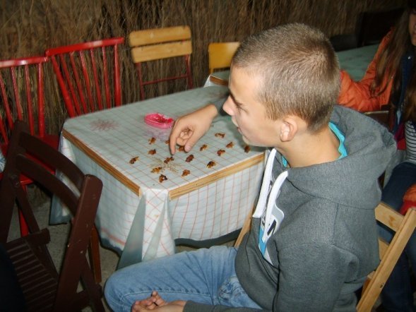 Młodzież uczyła się kopać bursztyn w Wachu [10 X 2012] - zdjęcie #5 - eOstroleka.pl