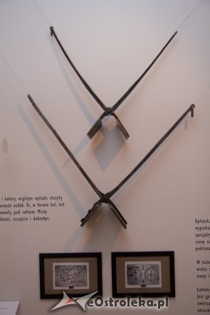 Wernisaż wystawy „Nim rozbłyśnie pierwsza gwiazdka” [06.11.2012] - zdjęcie #24 - eOstroleka.pl