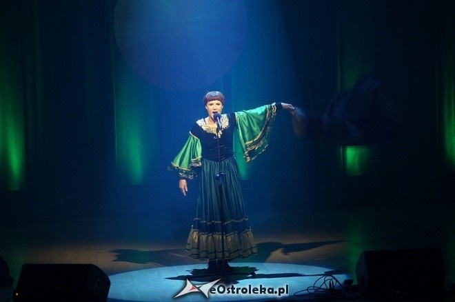 OSPA 2012 [16.11.2012] - zdjęcie #136 - eOstroleka.pl