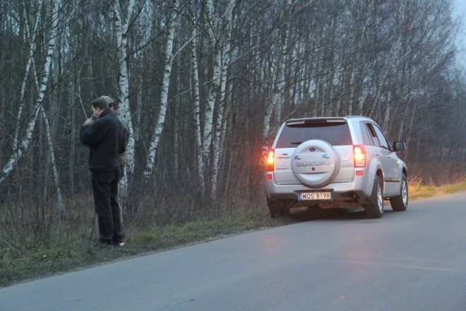 Sarna wpadła na teren Agrany : Ulica Ławska była zablokowna przez kilkadziesiąt minut [22 Xi 2012] - zdjęcie #11 - eOstroleka.pl