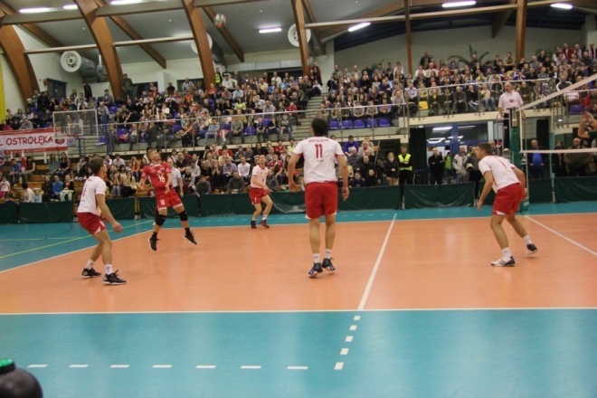 I liga: Energa Pekpol Ostrołęka - BBTS Bielsko-Biała (01.12.2012) - zdjęcie #21 - eOstroleka.pl