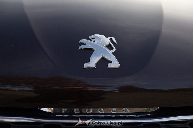 Test z Oscarem - Peugeot 208 [06.12.2012] - zdjęcie #5 - eOstroleka.pl