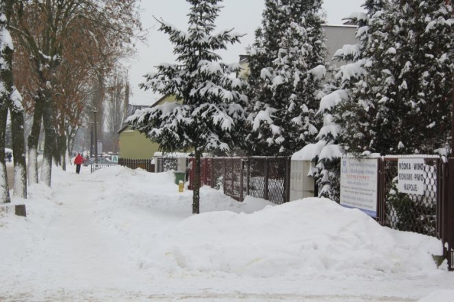 Ostrołęka pod śniegiem [20 XII 2012] - zdjęcie #20 - eOstroleka.pl