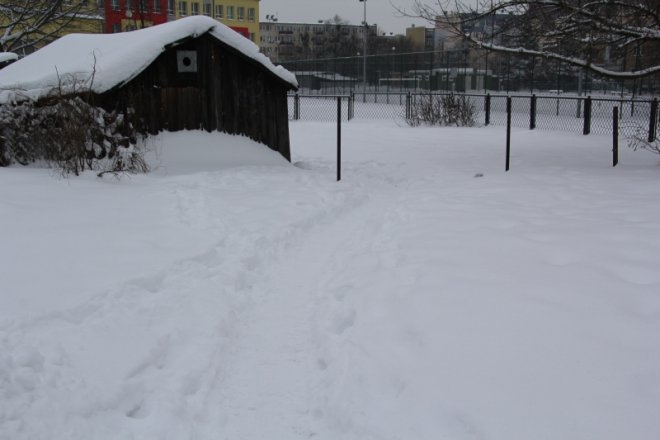 Ostrołęka pod śniegiem [20 XII 2012] - zdjęcie #43 - eOstroleka.pl