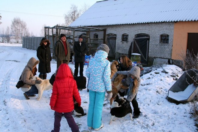 Kruszewo: Ostrołęccy uczniowie wspomogli schronisko dla zwierząt [20 XII 2012] - zdjęcie #7 - eOstroleka.pl