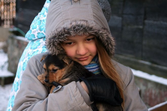 Kruszewo: Ostrołęccy uczniowie wspomogli schronisko dla zwierząt [20 XII 2012] - zdjęcie #27 - eOstroleka.pl