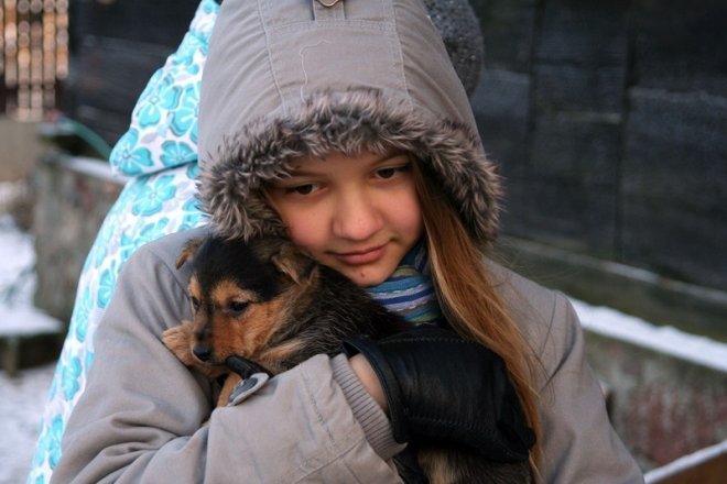 Kruszewo: Ostrołęccy uczniowie wspomogli schronisko dla zwierząt [20 XII 2012] - zdjęcie #16 - eOstroleka.pl