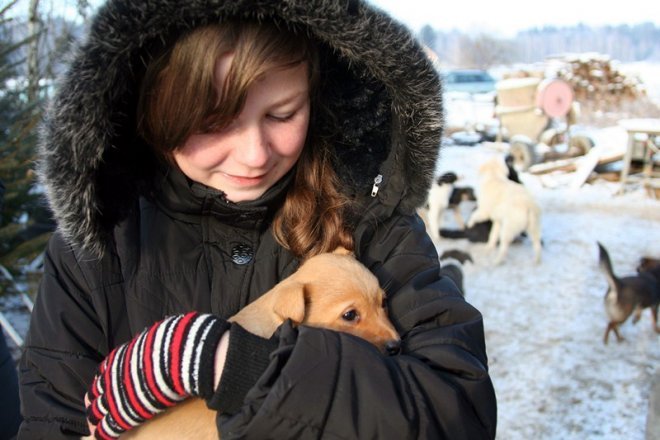 Kruszewo: Ostrołęccy uczniowie wspomogli schronisko dla zwierząt [20 XII 2012] - zdjęcie #30 - eOstroleka.pl