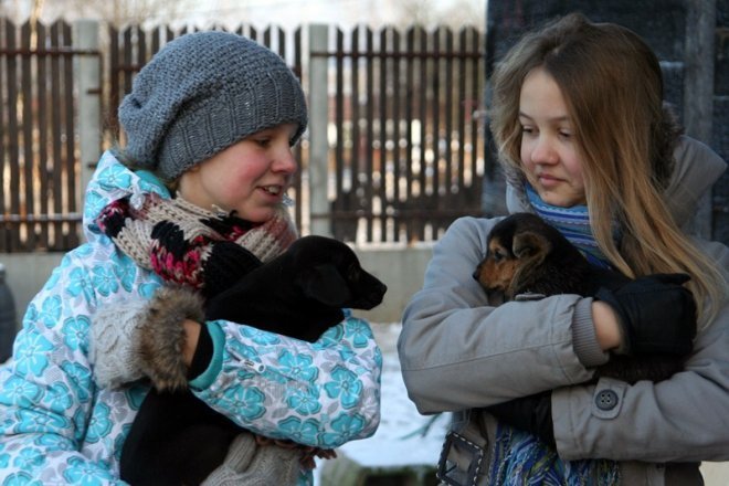 Kruszewo: Ostrołęccy uczniowie wspomogli schronisko dla zwierząt [20 XII 2012] - zdjęcie #32 - eOstroleka.pl