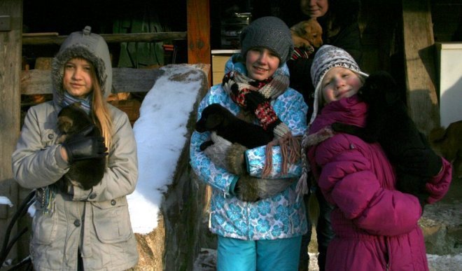 Kruszewo: Ostrołęccy uczniowie wspomogli schronisko dla zwierząt [20 XII 2012] - zdjęcie #40 - eOstroleka.pl