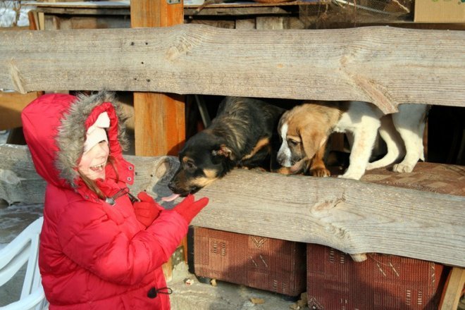 Kruszewo: Ostrołęccy uczniowie wspomogli schronisko dla zwierząt [20 XII 2012] - zdjęcie #2 - eOstroleka.pl