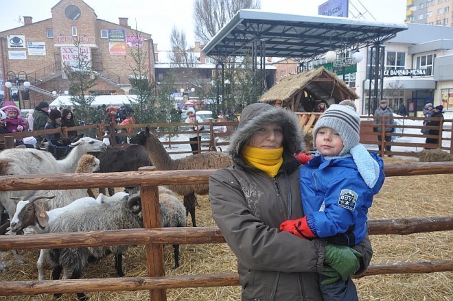 Wigilia miejska w Ostrołęce [22 XII 2012] - zdjęcie #94 - eOstroleka.pl