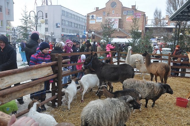 Wigilia miejska w Ostrołęce [22 XII 2012] - zdjęcie #92 - eOstroleka.pl