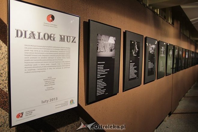 „Dialog Muz” w hallu Ostrołęckiego Centrum Kultury [02.02.2013] - zdjęcie #16 - eOstroleka.pl