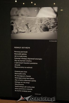 „Dialog Muz” w hallu Ostrołęckiego Centrum Kultury [02.02.2013] - zdjęcie #14 - eOstroleka.pl