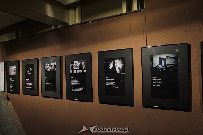 „Dialog Muz” w hallu Ostrołęckiego Centrum Kultury [02.02.2013] - zdjęcie #7 - eOstroleka.pl