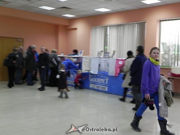 Wystawa kotów [10.02.2013] - zdjęcie #45 - eOstroleka.pl