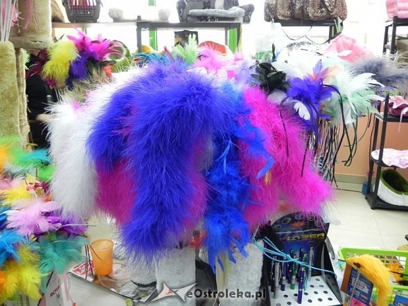 Wystawa kotów [10.02.2013] - zdjęcie #29 - eOstroleka.pl