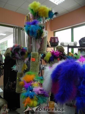 Wystawa kotów [10.02.2013] - zdjęcie #28 - eOstroleka.pl