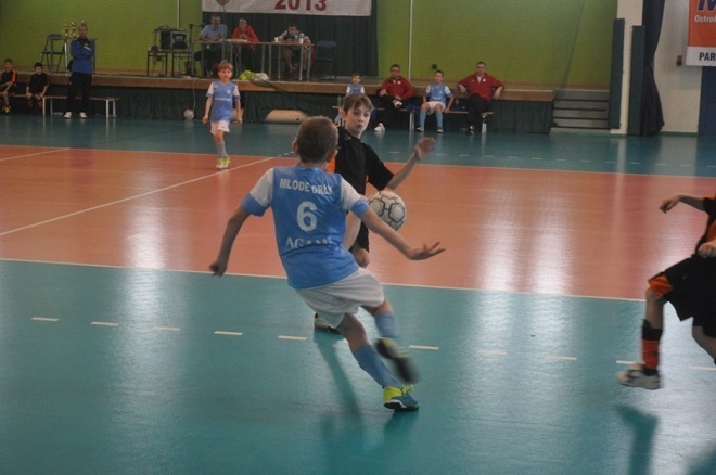 Narew Cup 2013 (10.02.2013) - zdjęcie #13 - eOstroleka.pl
