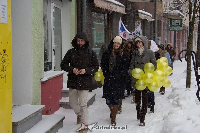 Marsz Hakowicza 2013 [20.02.2013] - zdjęcie #11 - eOstroleka.pl