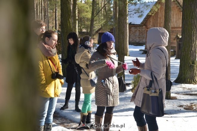 Projektu PEACE w Ostrołęce - podsumowanie [05.03.2013] - zdjęcie #4 - eOstroleka.pl