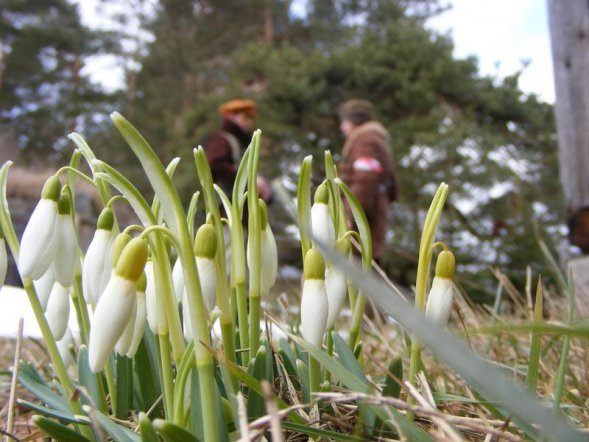 Obława w Piaseczni [6.03.2013] - zdjęcie #12 - eOstroleka.pl