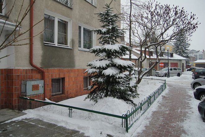 Pierwszy dzień wiosny w Ostrołęce [21 III 2013] - zdjęcie #68 - eOstroleka.pl