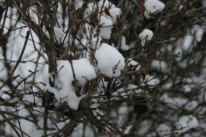 Pierwszy dzień wiosny w Ostrołęce [21 III 2013] - zdjęcie #55 - eOstroleka.pl