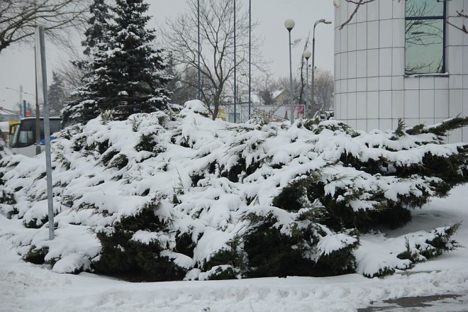 Pierwszy dzień wiosny w Ostrołęce [21 III 2013] - zdjęcie #53 - eOstroleka.pl