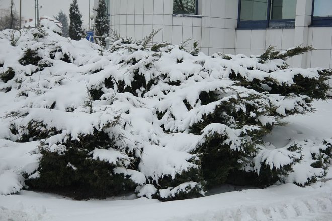 Pierwszy dzień wiosny w Ostrołęce [21 III 2013] - zdjęcie #51 - eOstroleka.pl