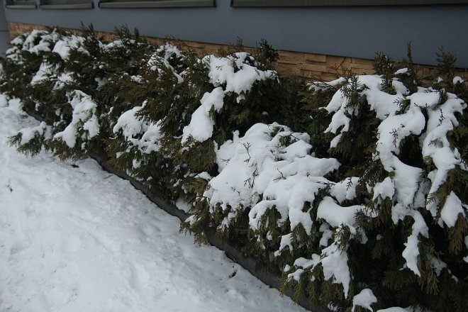 Pierwszy dzień wiosny w Ostrołęce [21 III 2013] - zdjęcie #43 - eOstroleka.pl