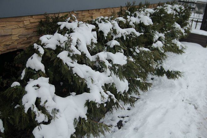 Pierwszy dzień wiosny w Ostrołęce [21 III 2013] - zdjęcie #42 - eOstroleka.pl