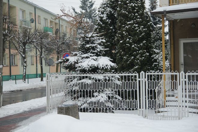 Pierwszy dzień wiosny w Ostrołęce [21 III 2013] - zdjęcie #36 - eOstroleka.pl