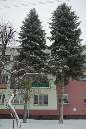 Pierwszy dzień wiosny w Ostrołęce [21 III 2013] - zdjęcie #32 - eOstroleka.pl