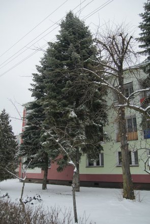 Pierwszy dzień wiosny w Ostrołęce [21 III 2013] - zdjęcie #31 - eOstroleka.pl