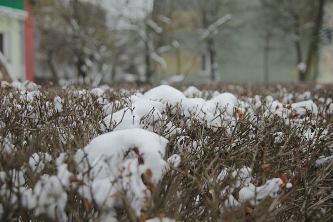 Pierwszy dzień wiosny w Ostrołęce [21 III 2013] - zdjęcie #30 - eOstroleka.pl
