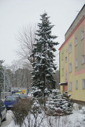 Pierwszy dzień wiosny w Ostrołęce [21 III 2013] - zdjęcie #26 - eOstroleka.pl