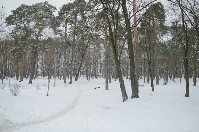 Pierwszy dzień wiosny w Ostrołęce [21 III 2013] - zdjęcie #24 - eOstroleka.pl