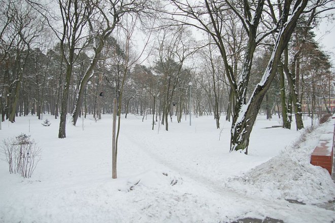 Pierwszy dzień wiosny w Ostrołęce [21 III 2013] - zdjęcie #23 - eOstroleka.pl