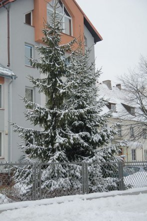 Pierwszy dzień wiosny w Ostrołęce [21 III 2013] - zdjęcie #19 - eOstroleka.pl