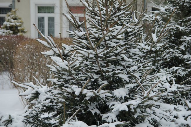 Pierwszy dzień wiosny w Ostrołęce [21 III 2013] - zdjęcie #12 - eOstroleka.pl