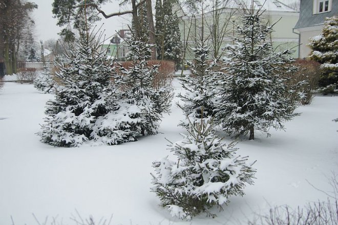 Pierwszy dzień wiosny w Ostrołęce [21 III 2013] - zdjęcie #11 - eOstroleka.pl