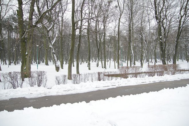 Pierwszy dzień wiosny w Ostrołęce [21 III 2013] - zdjęcie #7 - eOstroleka.pl