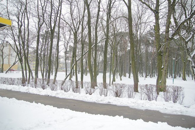 Pierwszy dzień wiosny w Ostrołęce [21 III 2013] - zdjęcie #6 - eOstroleka.pl